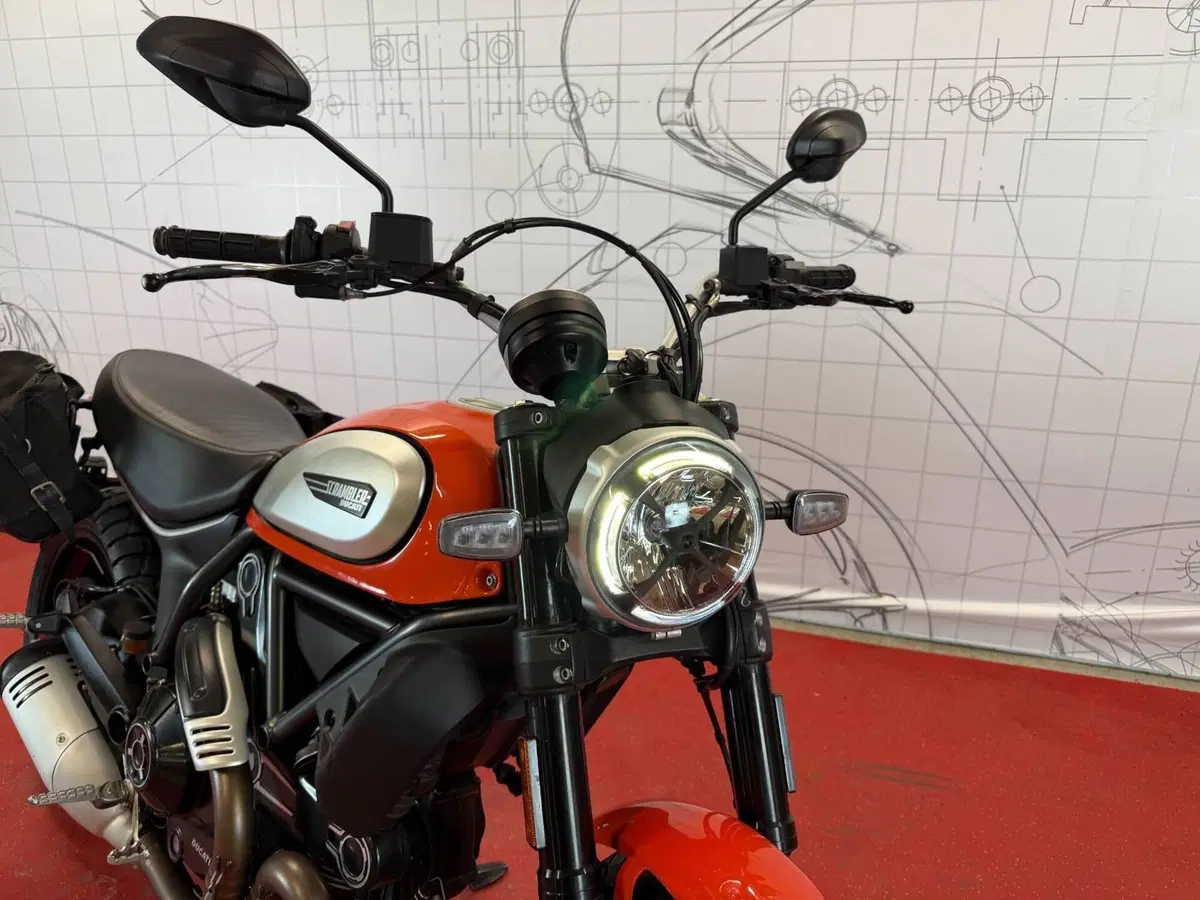 Ducati Scrambler 800 Icon (2017 - 20) (10)