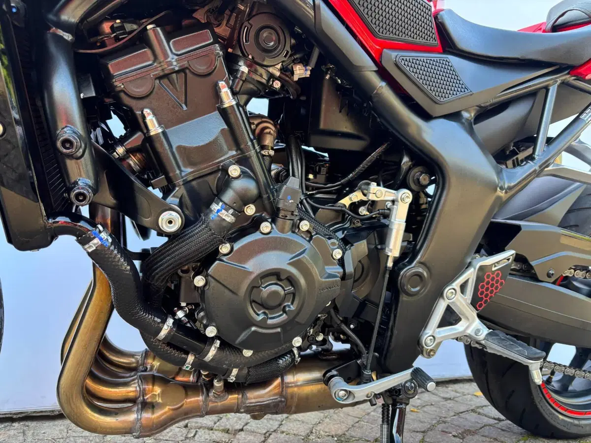 Honda CB 1000 Hornet (2025 - 26) (4)