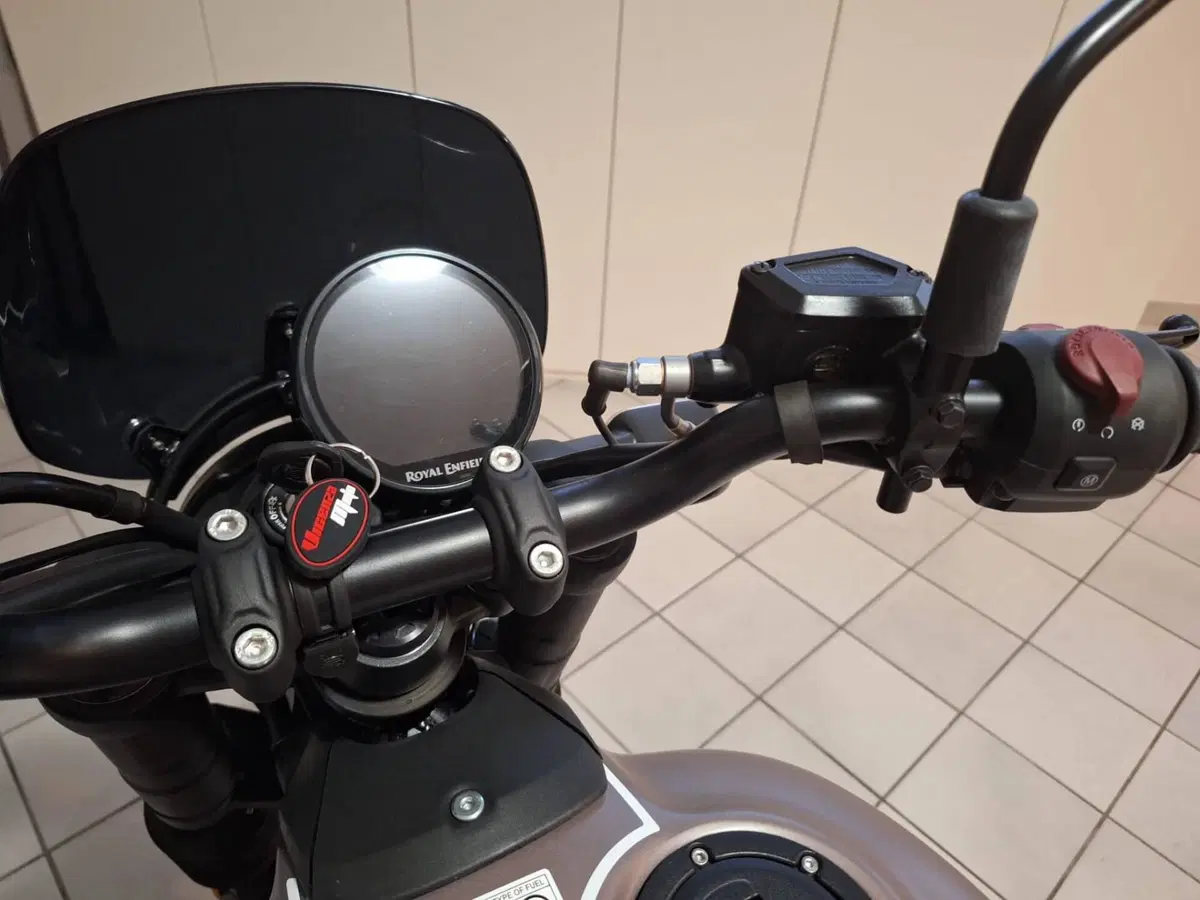 Royal Enfield Guerrilla 450 (2024 - 26) (9)