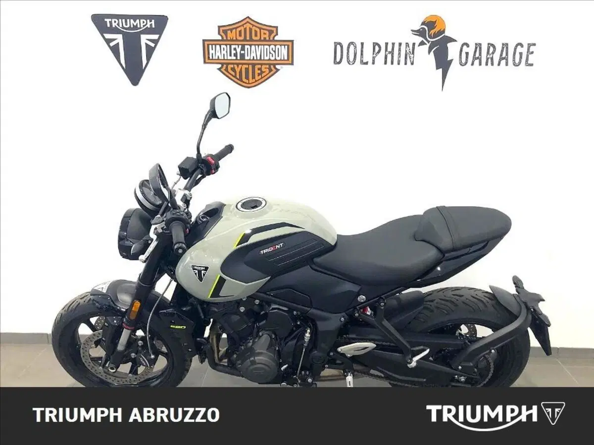 Triumph Trident 660 (2026) (3)