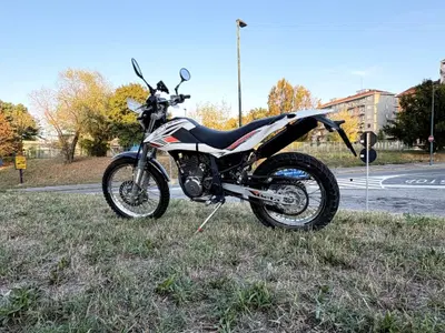 Betamotor Alp 4.0 (2008 - 17) usata