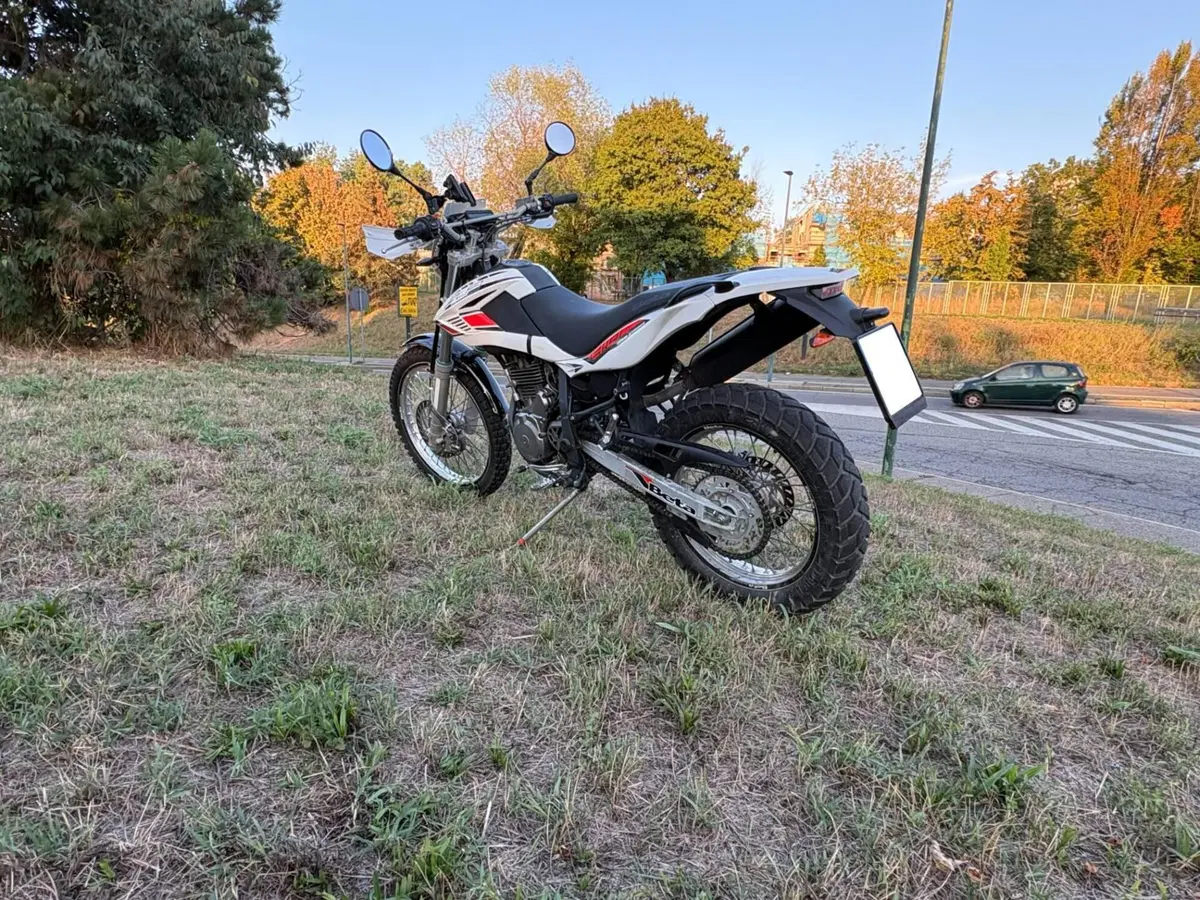 Betamotor Alp 4.0 (2008 - 17) (2)
