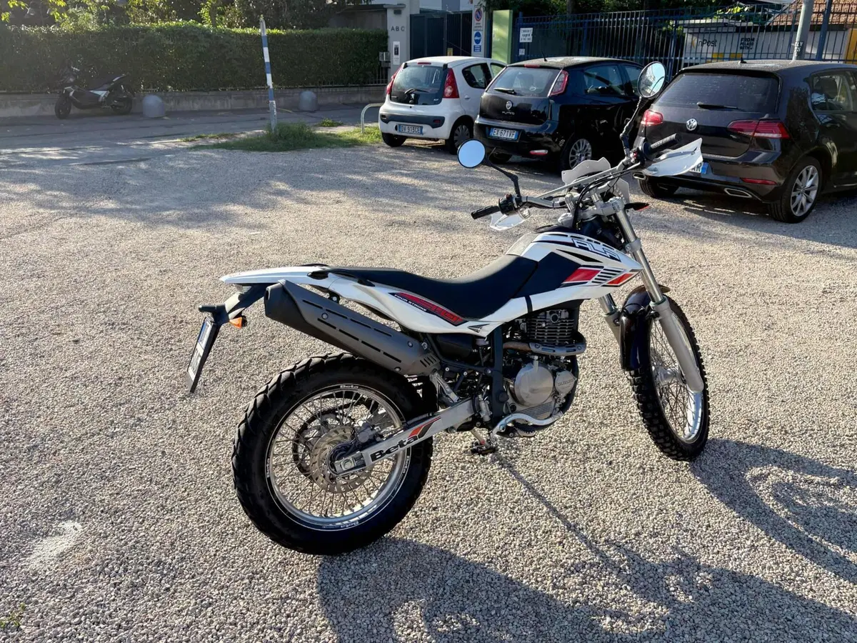 Betamotor Alp 4.0 (2008 - 17) (4)