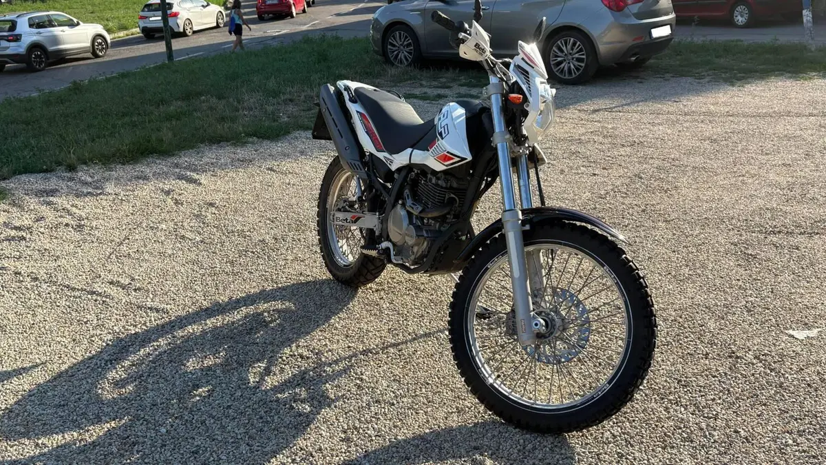 Betamotor Alp 4.0 (2008 - 17) (5)