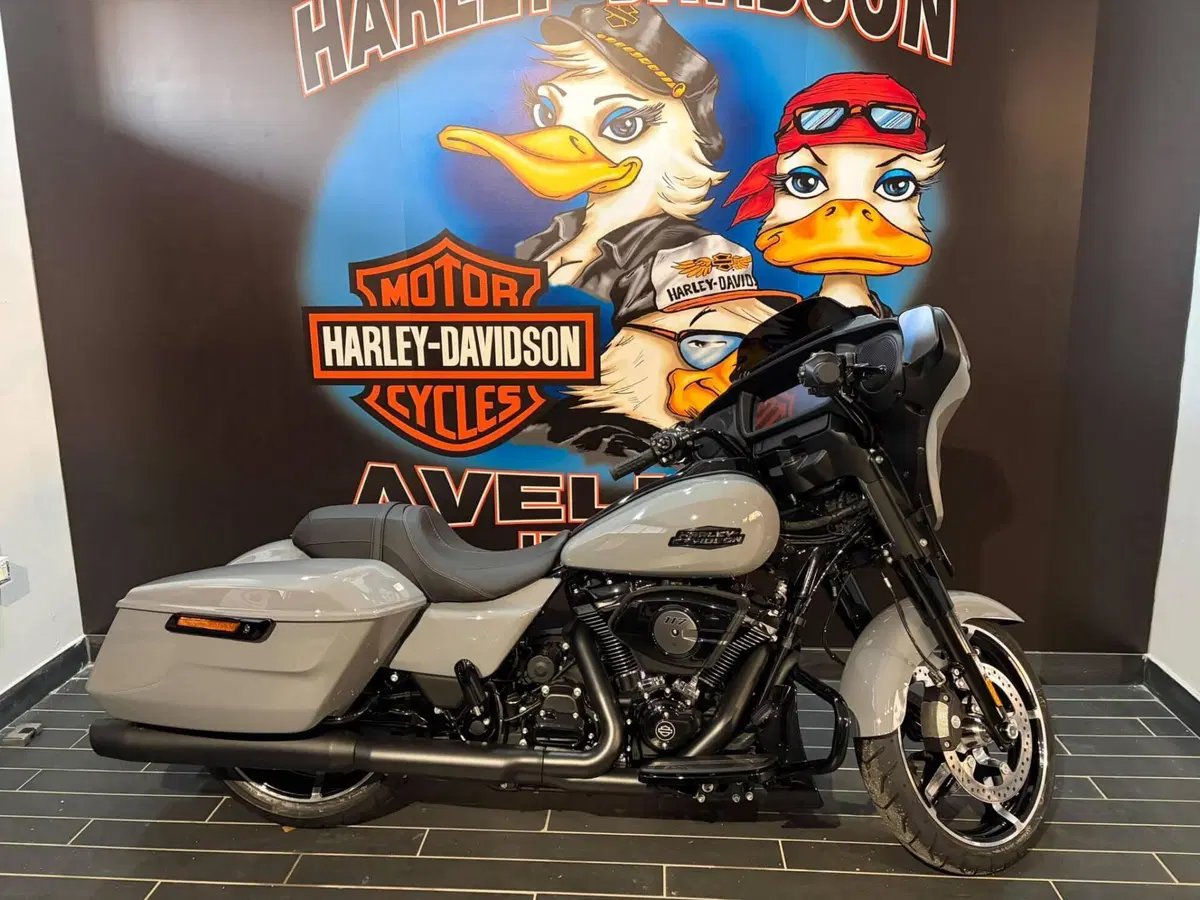 Harley-Davidson Street Glide (2024 - 26) (2)