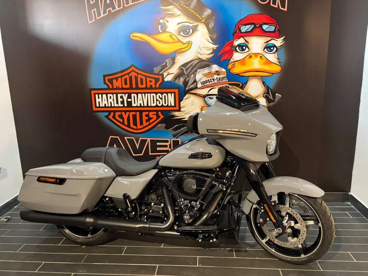 Harley-Davidson Street Glide (2024 - 26) (4)