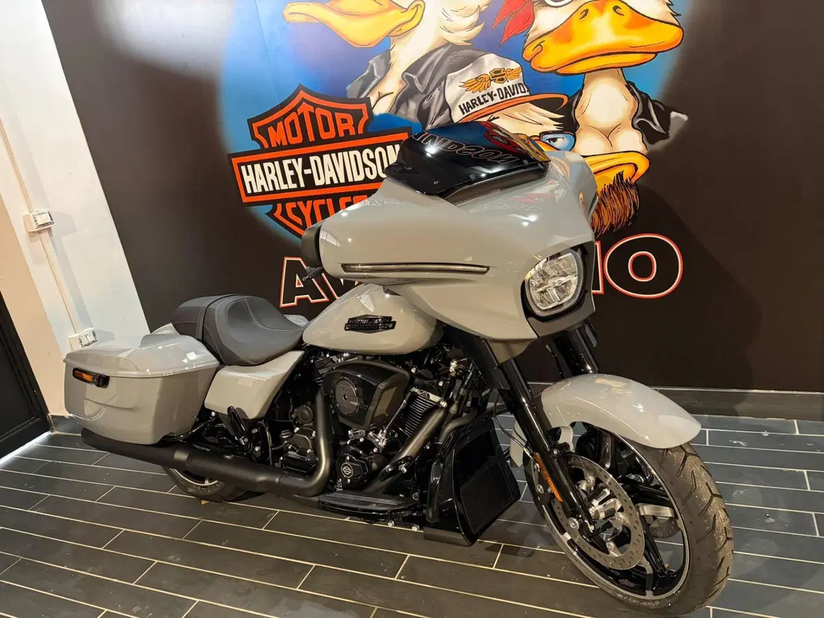 Harley-Davidson Street Glide (2024 - 26) (5)