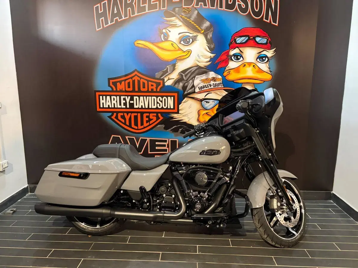 Harley-Davidson Street Glide (2024 - 26) (8)
