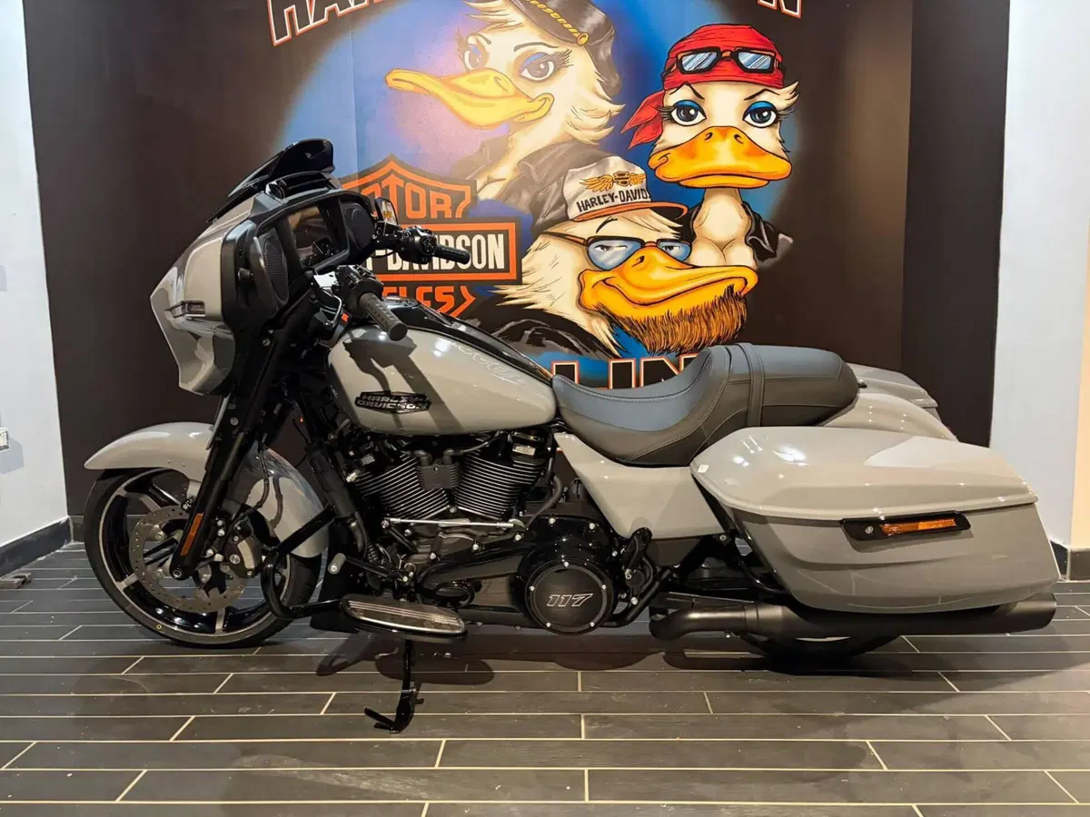 Harley-Davidson Street Glide (2024 - 26) (10)