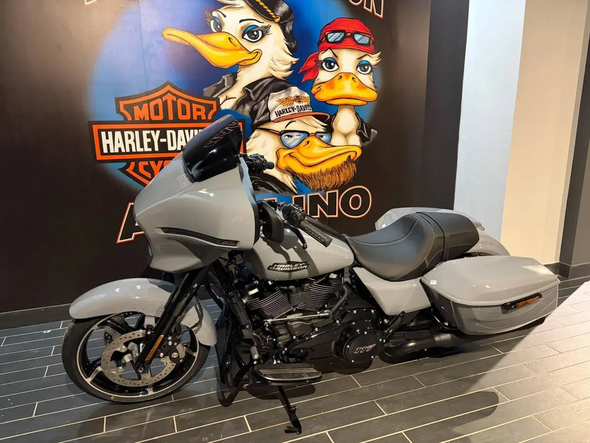 Harley-Davidson Street Glide (2024 - 26) (11)