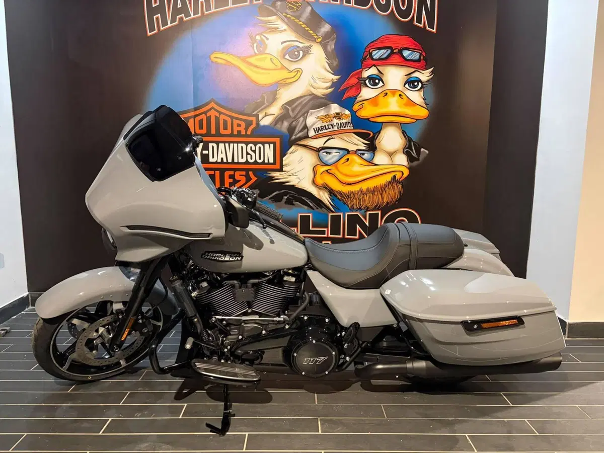 Harley-Davidson Street Glide (2024 - 26) (12)