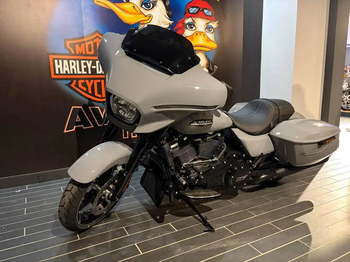 Harley-Davidson Street Glide (2024 - 26) (13)