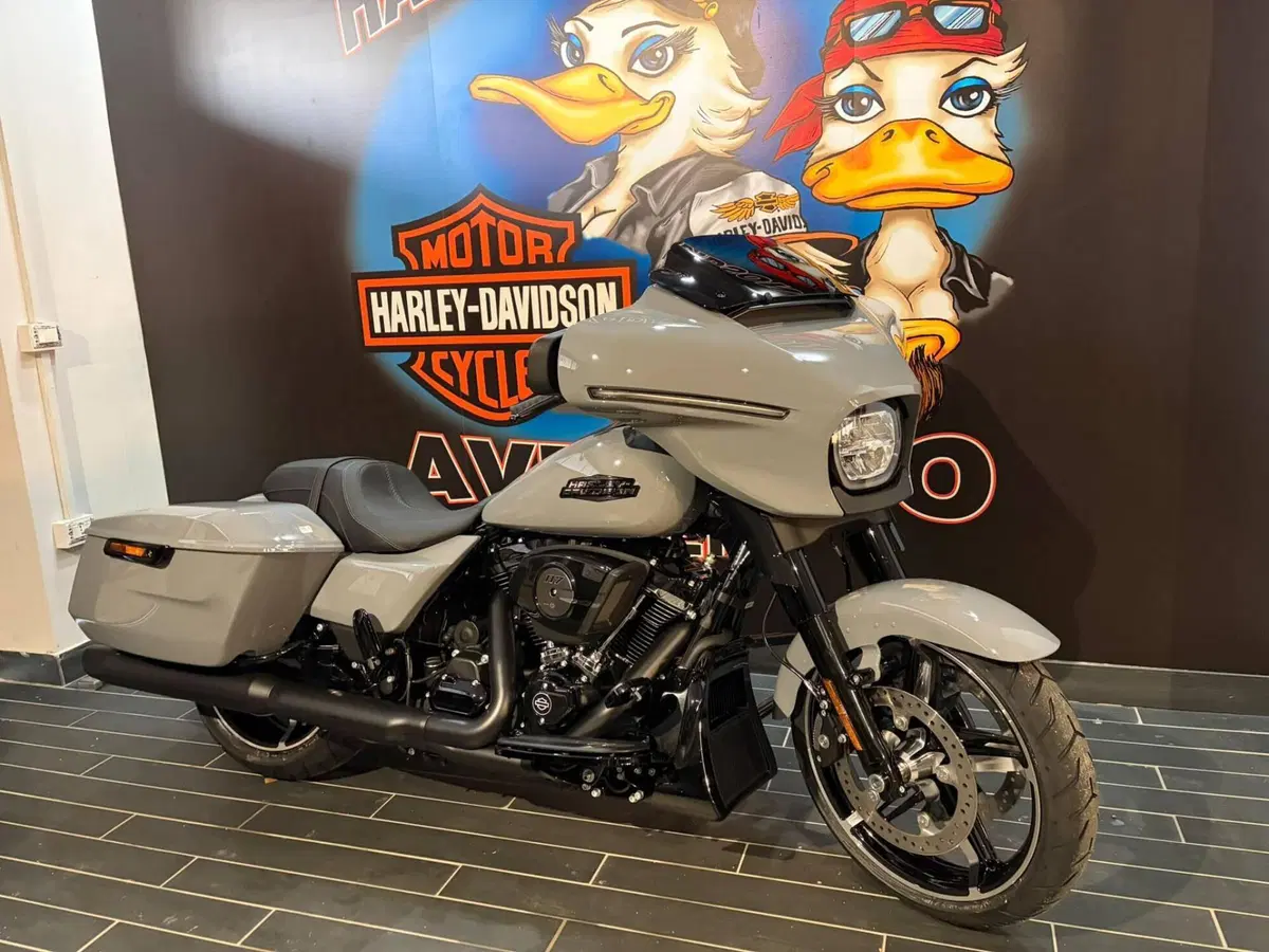 Harley-Davidson Street Glide (2024 - 26) (14)