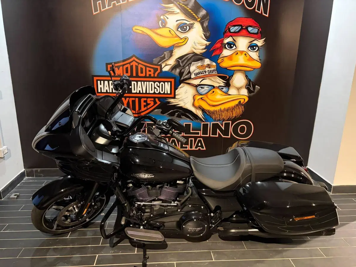 Harley-Davidson Road Glide (2024 - 26) (2)
