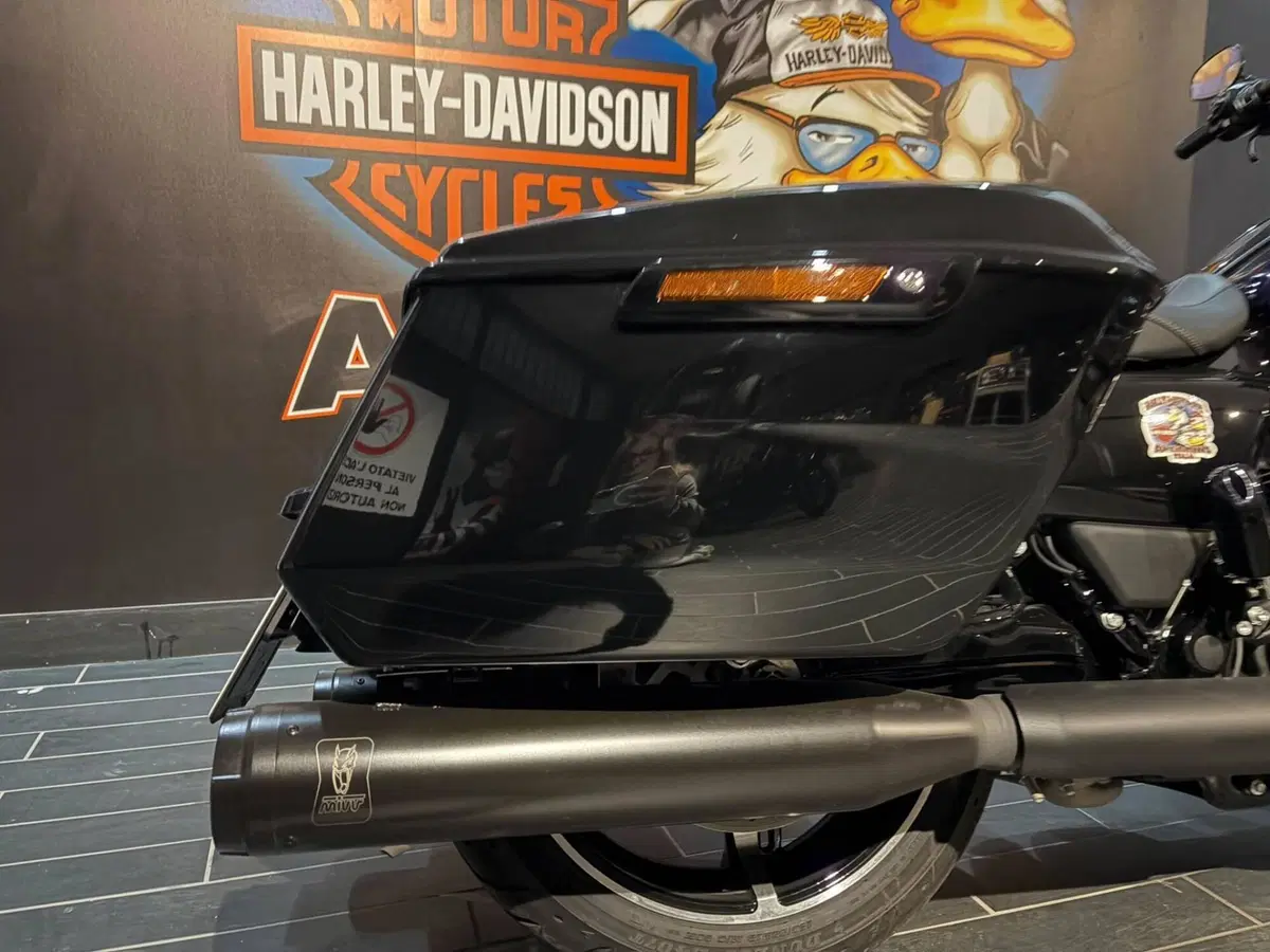 Harley-Davidson Road Glide (2024 - 26) (9)
