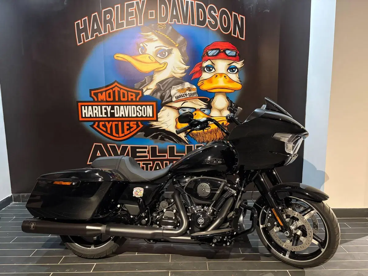 Harley-Davidson Road Glide (2024 - 26) (12)