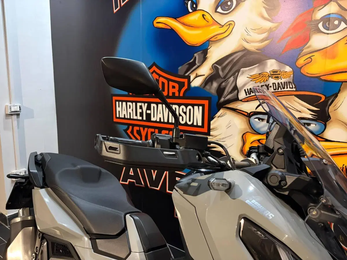 Honda X-ADV 750 DCT (2021 - 24) (10)