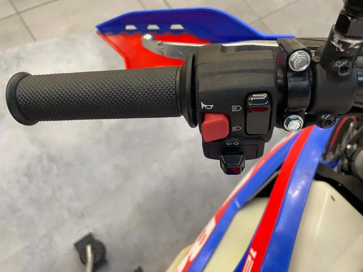 Betamotor RR 125 4T Enduro T (2023 - 24) (4)