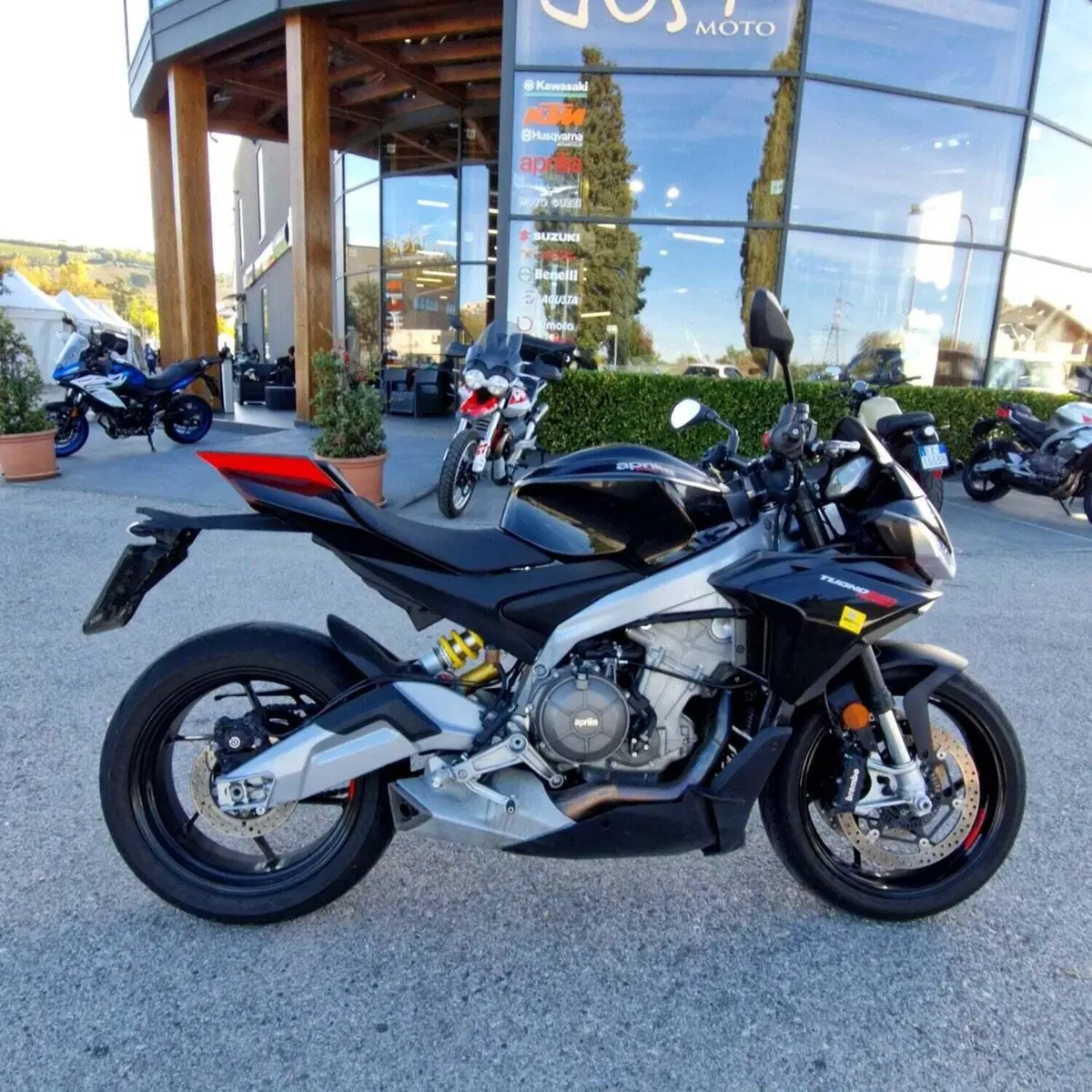 Aprilia Tuono 660 Factory (2022 - 24) (2)