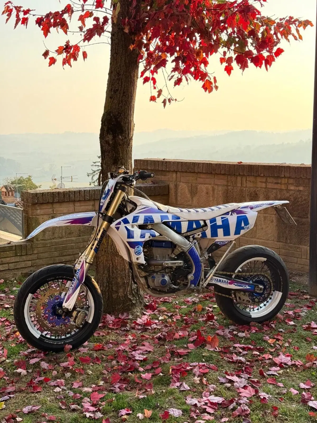 Yamaha YZ 450 F (2021) (2)