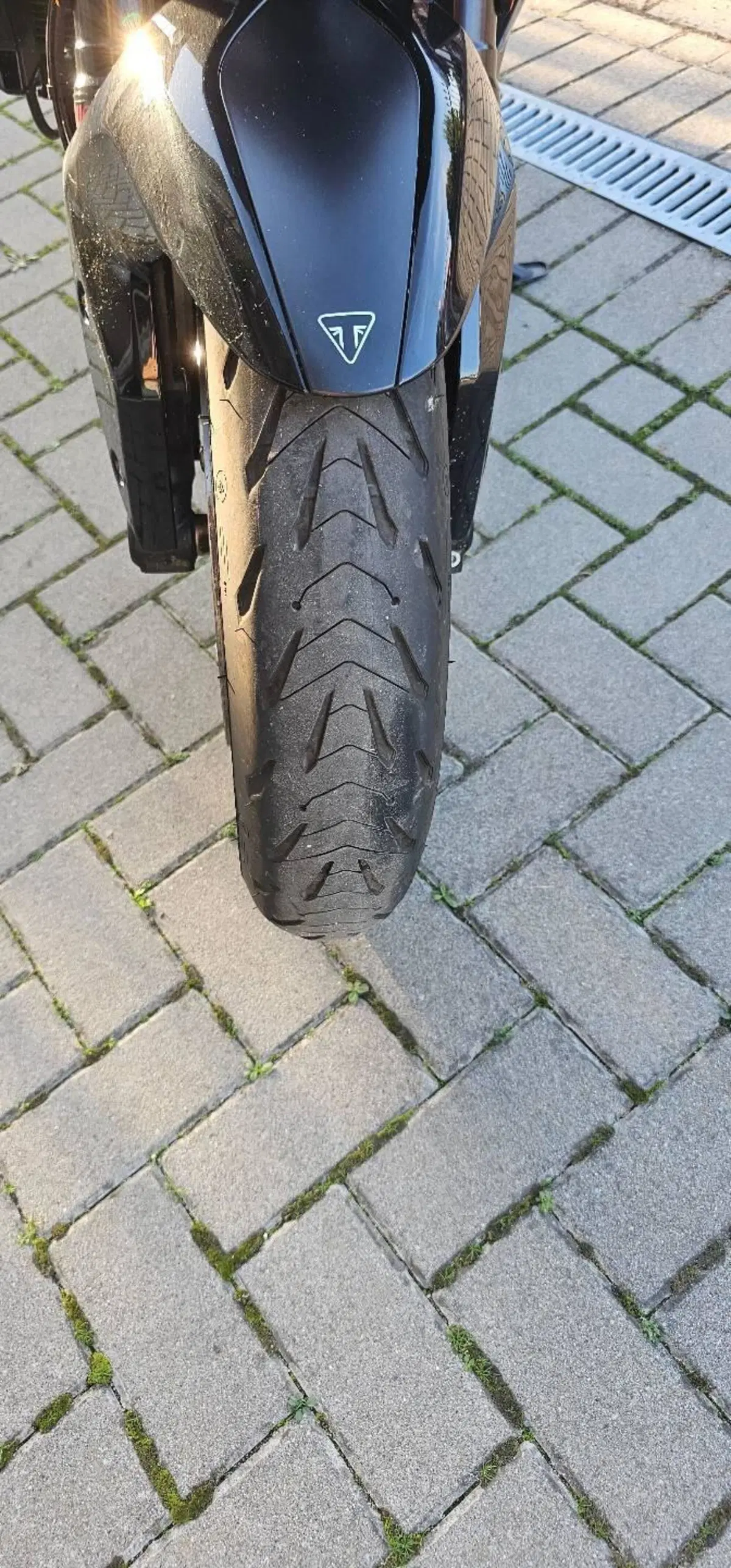 Triumph Tiger Sport 660 (2022 - 24) (3)
