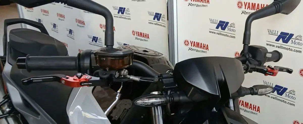 KTM 790 Duke L (2023 - 24) (4)
