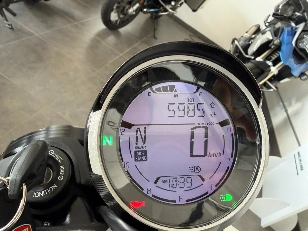 Ducati Scrambler 800 Icon (2021 - 22) (10)
