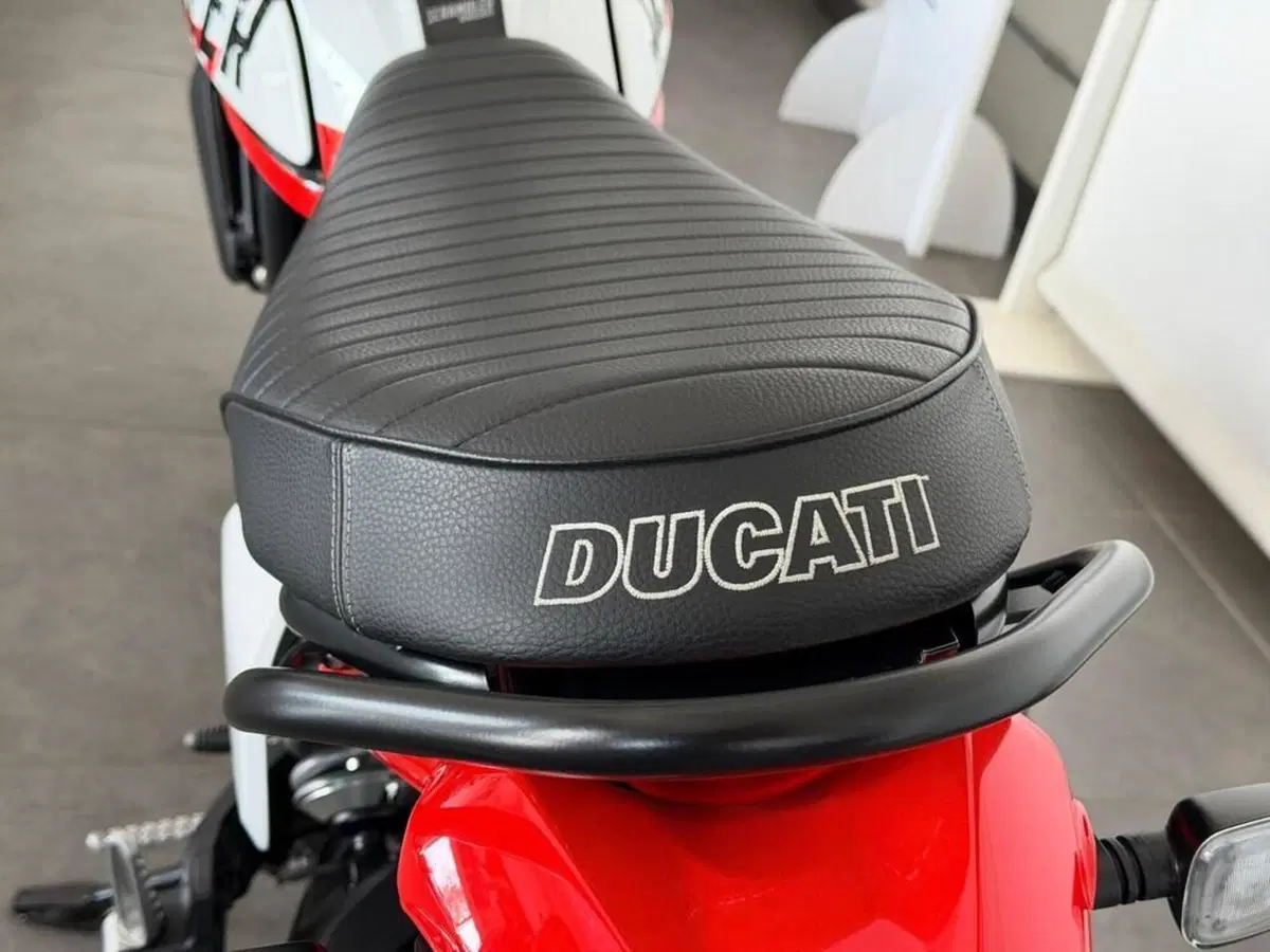 Ducati Scrambler 800 Icon (2021 - 22) (7)