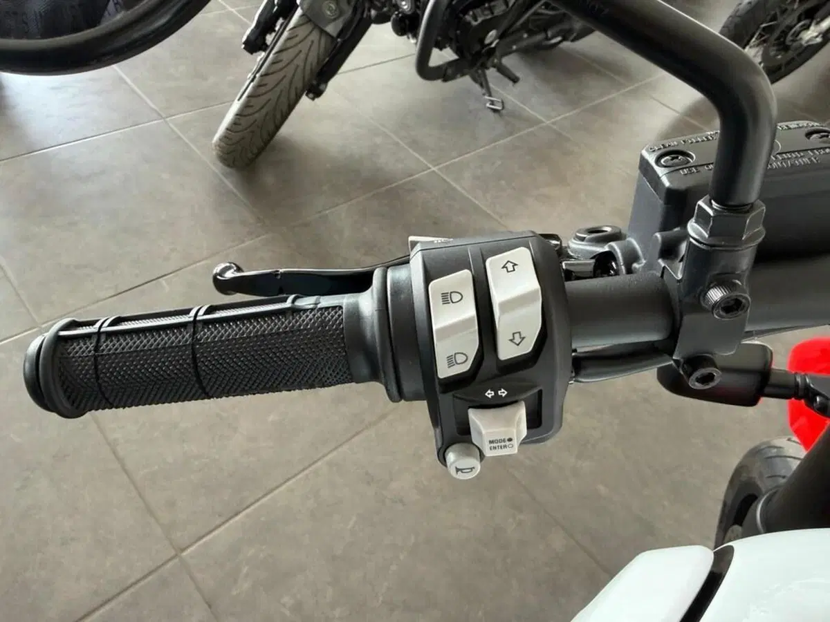 Ducati Scrambler 800 Icon (2021 - 22) (9)