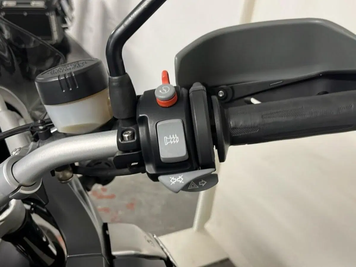 Bmw R 1200 GS (2008 - 09) (10)