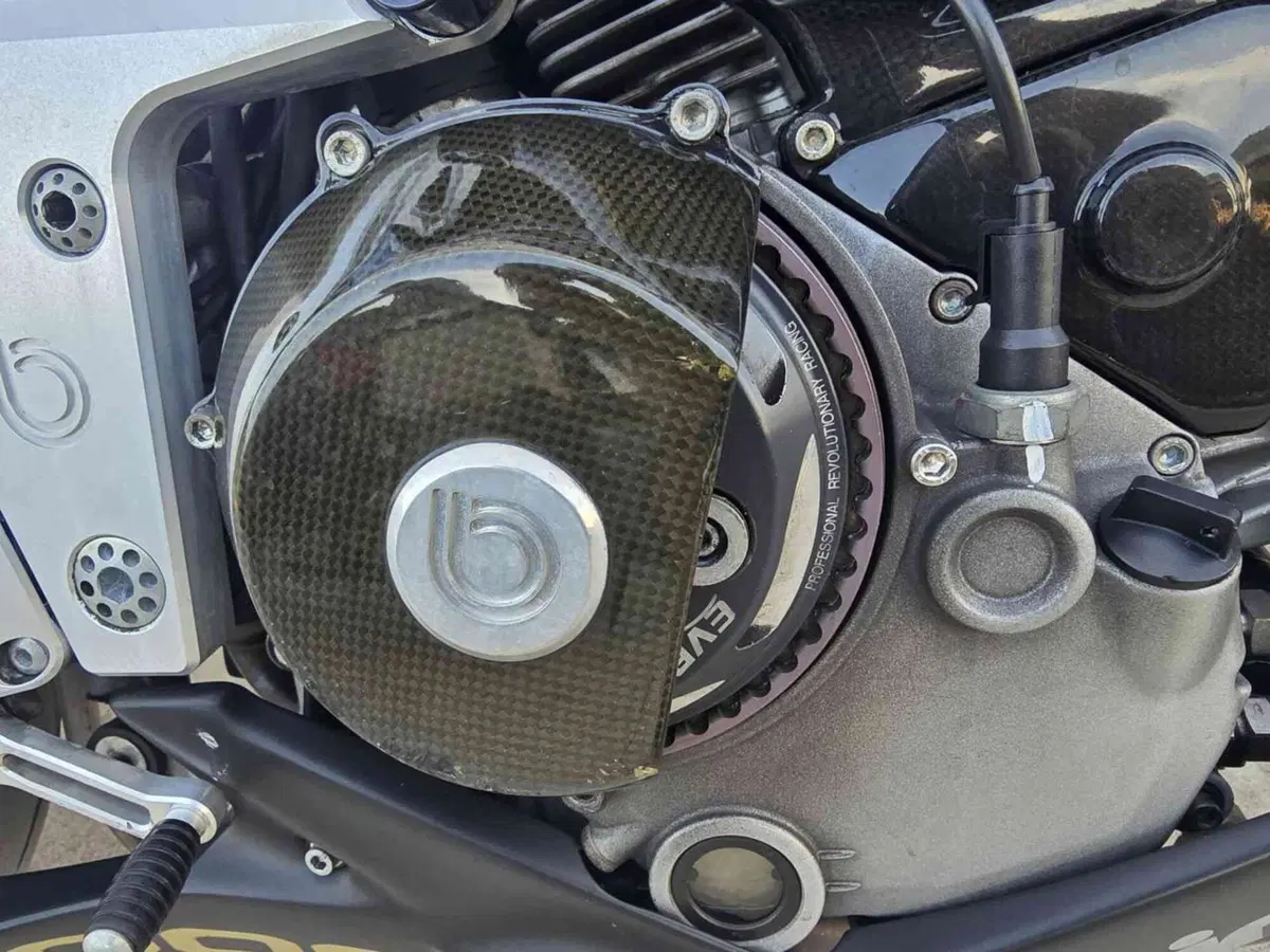 Bimota DB6 Delirio RE (2006 - 15) (18)