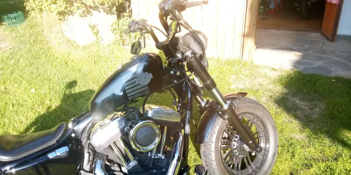 Harley-Davidson 1200 Forty-Eight (2010 - 15) (3)