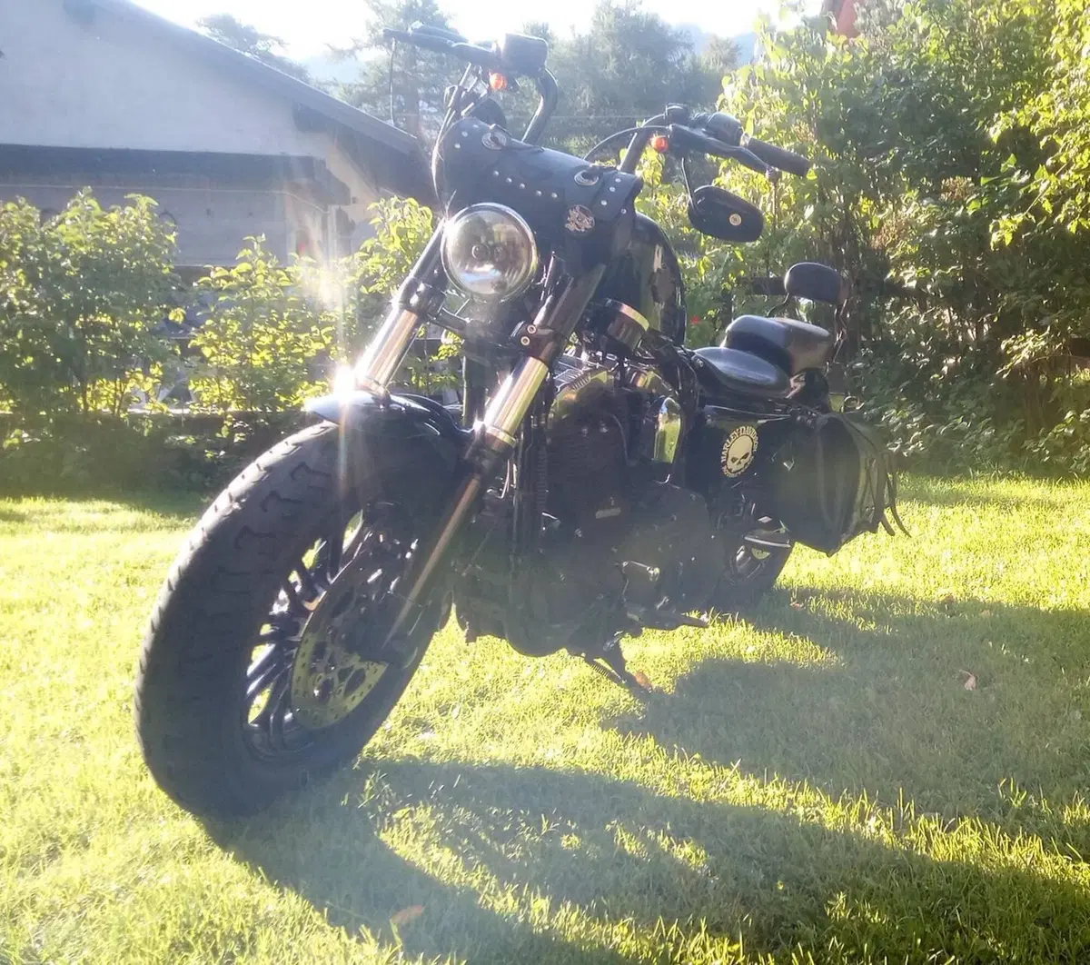 Harley-Davidson 1200 Forty-Eight (2010 - 15) (4)