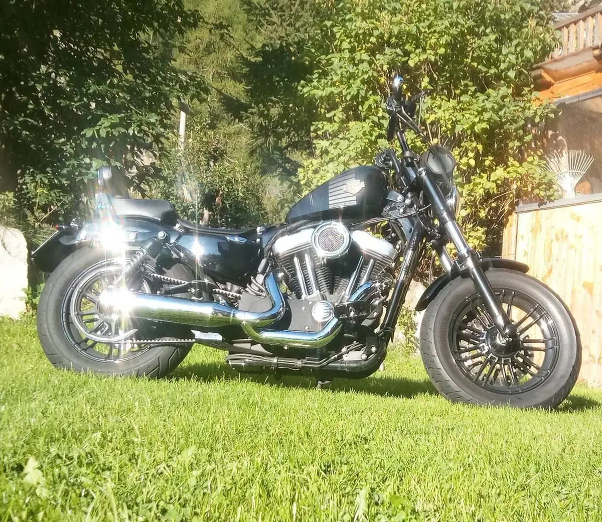 Harley-Davidson 1200 Forty-Eight (2010 - 15) (5)