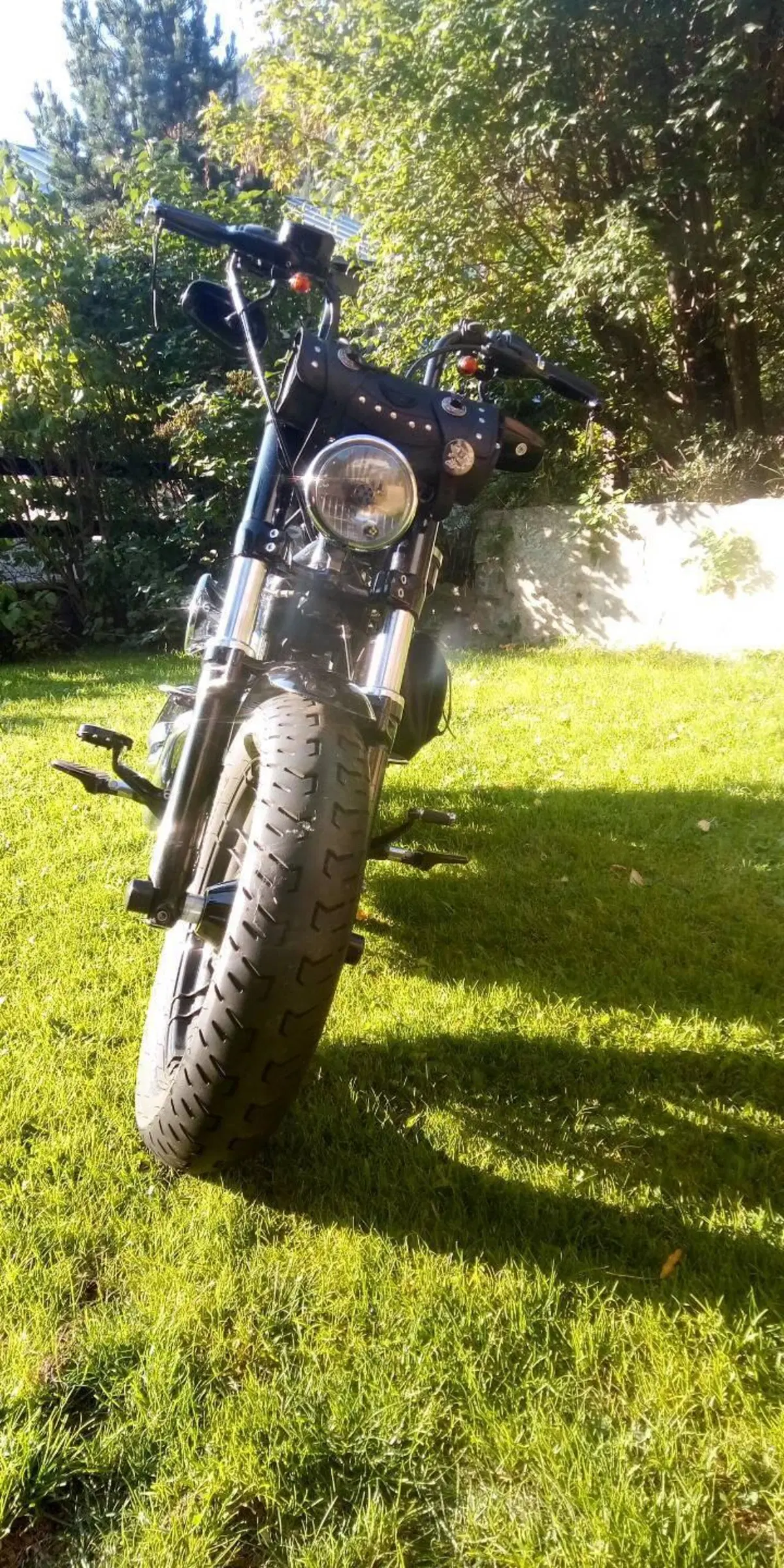Harley-Davidson 1200 Forty-Eight (2010 - 15) (9)