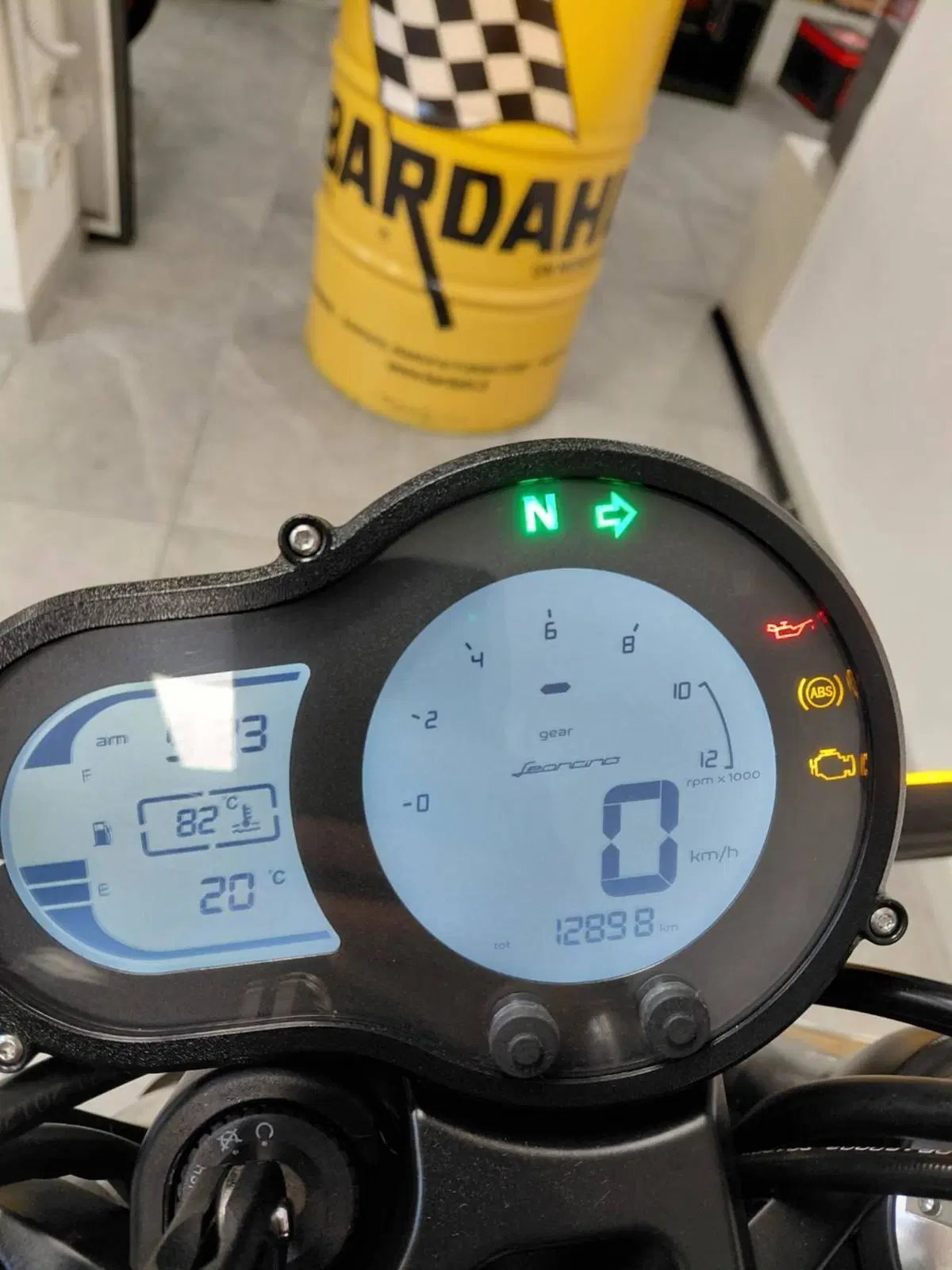 Benelli Leoncino 500 (2021 - 25) (5)
