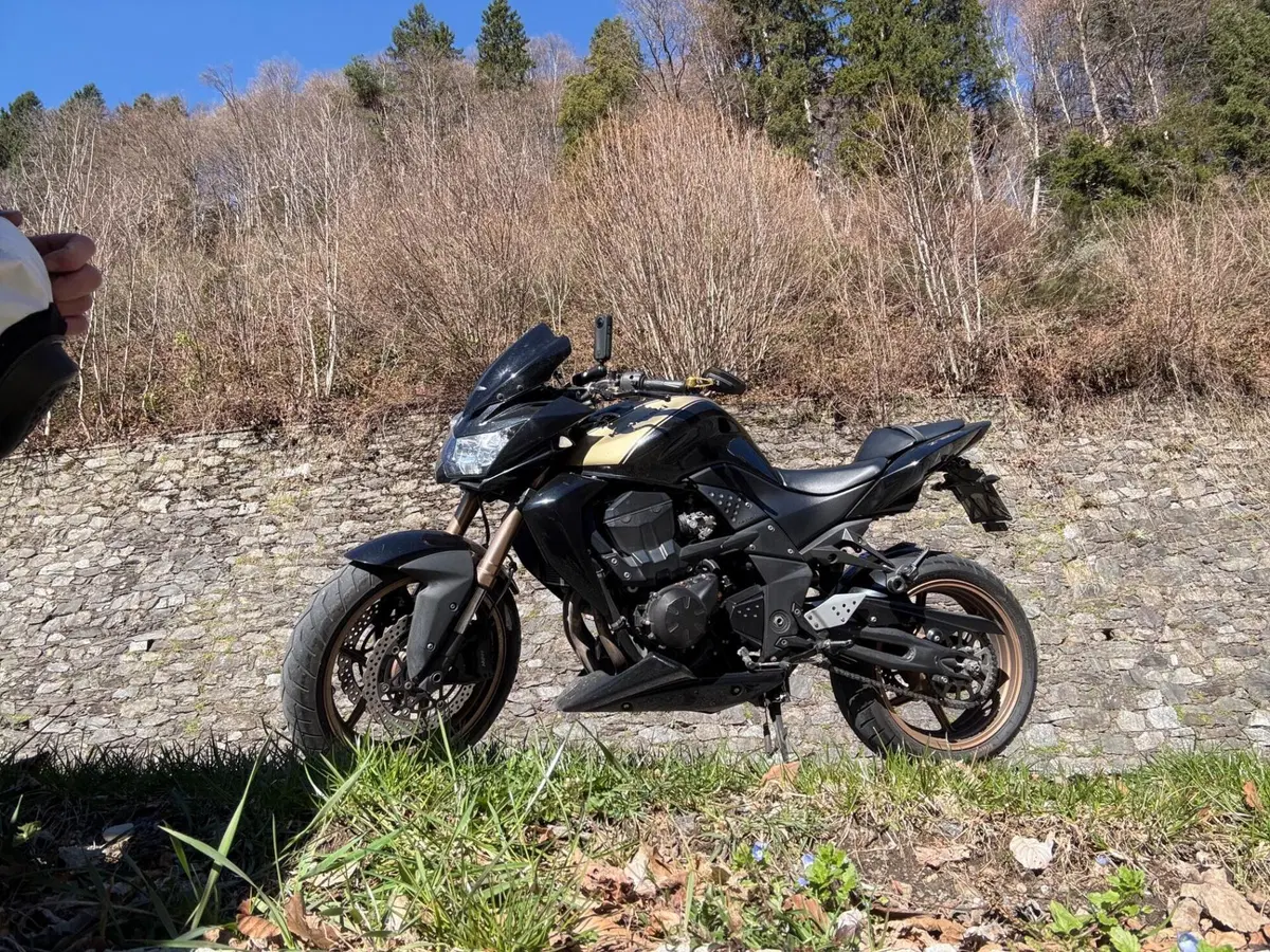 Kawasaki Z 750 R (2011 - 14) (2)