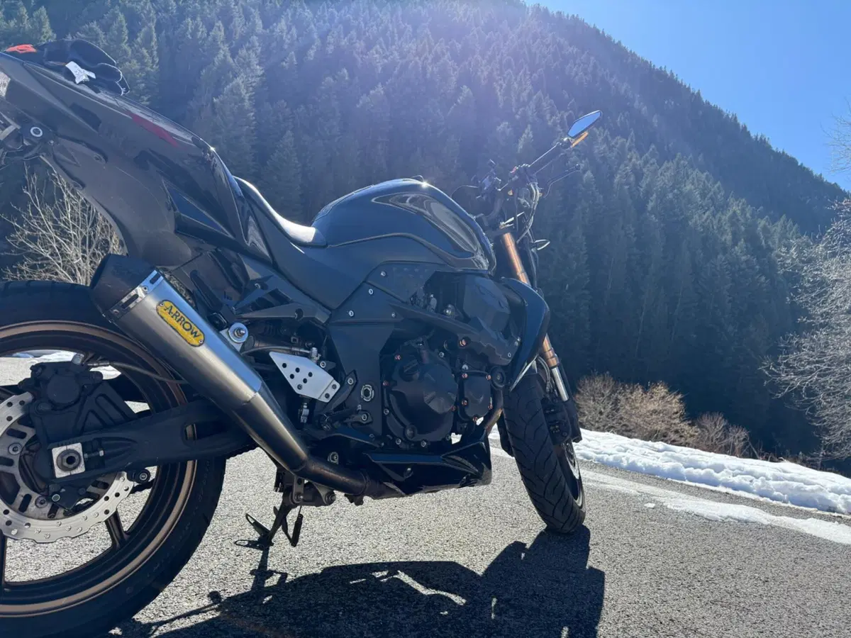 Kawasaki Z 750 R (2011 - 14) (5)