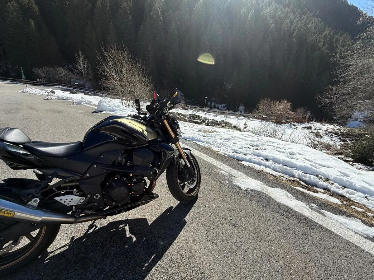 Kawasaki Z 750 R (2011 - 14) (6)