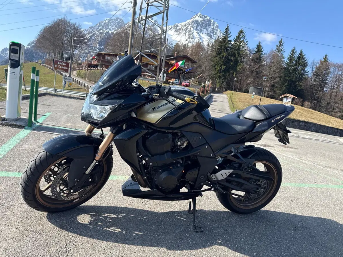 Kawasaki Z 750 R (2011 - 14) (7)