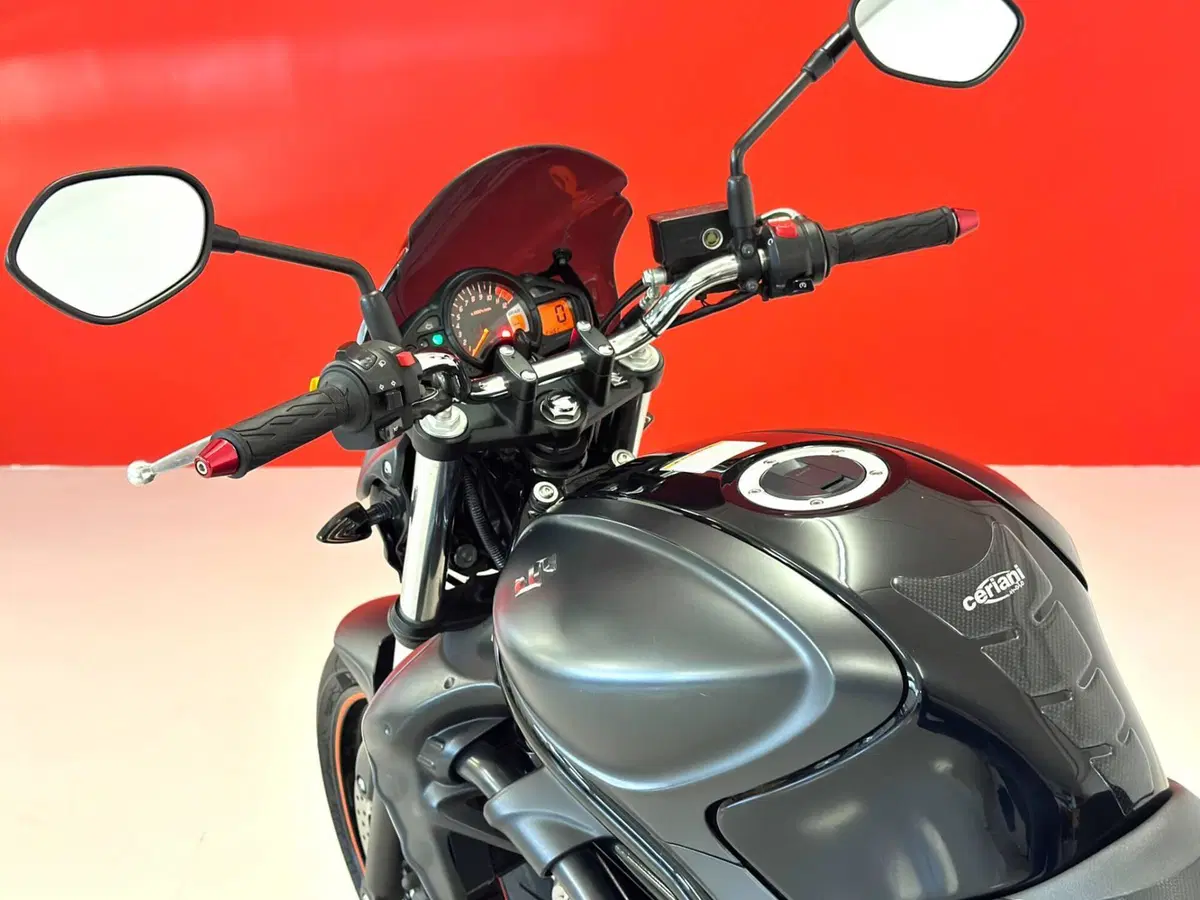 Suzuki Gladius 650 SFV (2009 - 15) (17)