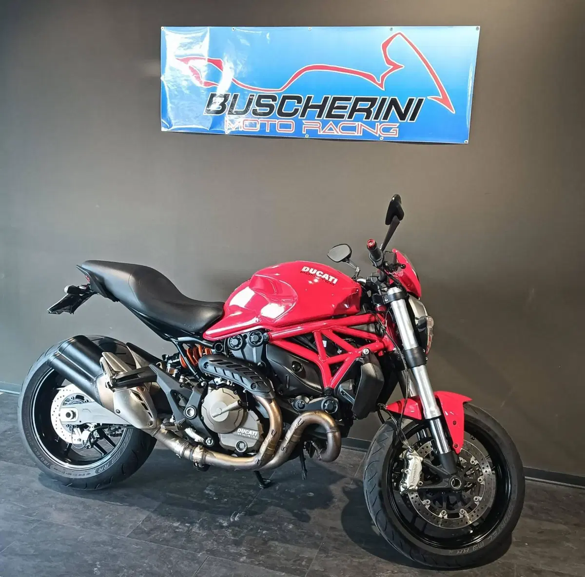 Ducati Monster 821 ABS (2014 - 17) (3)