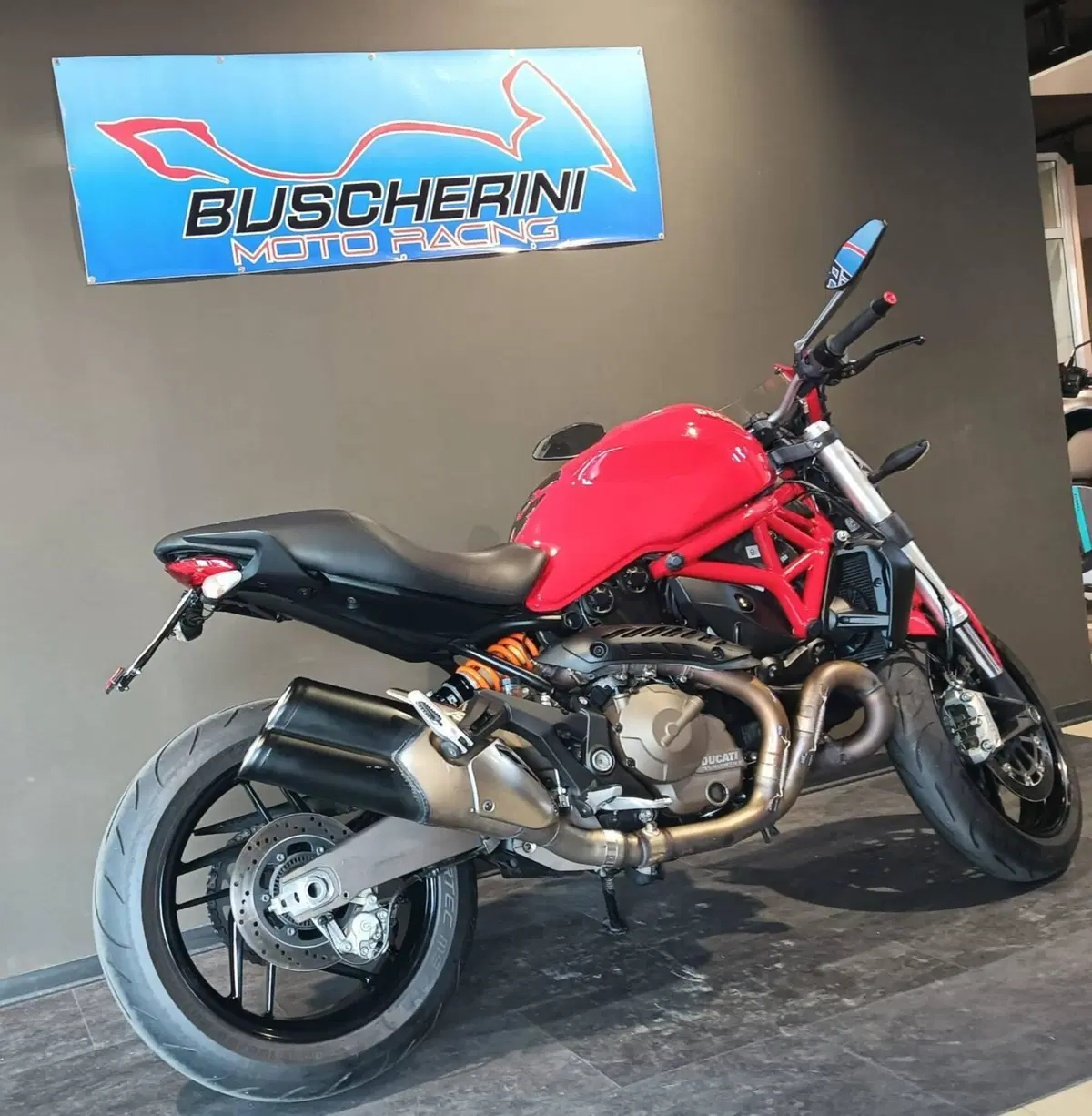Ducati Monster 821 ABS (2014 - 17) (4)