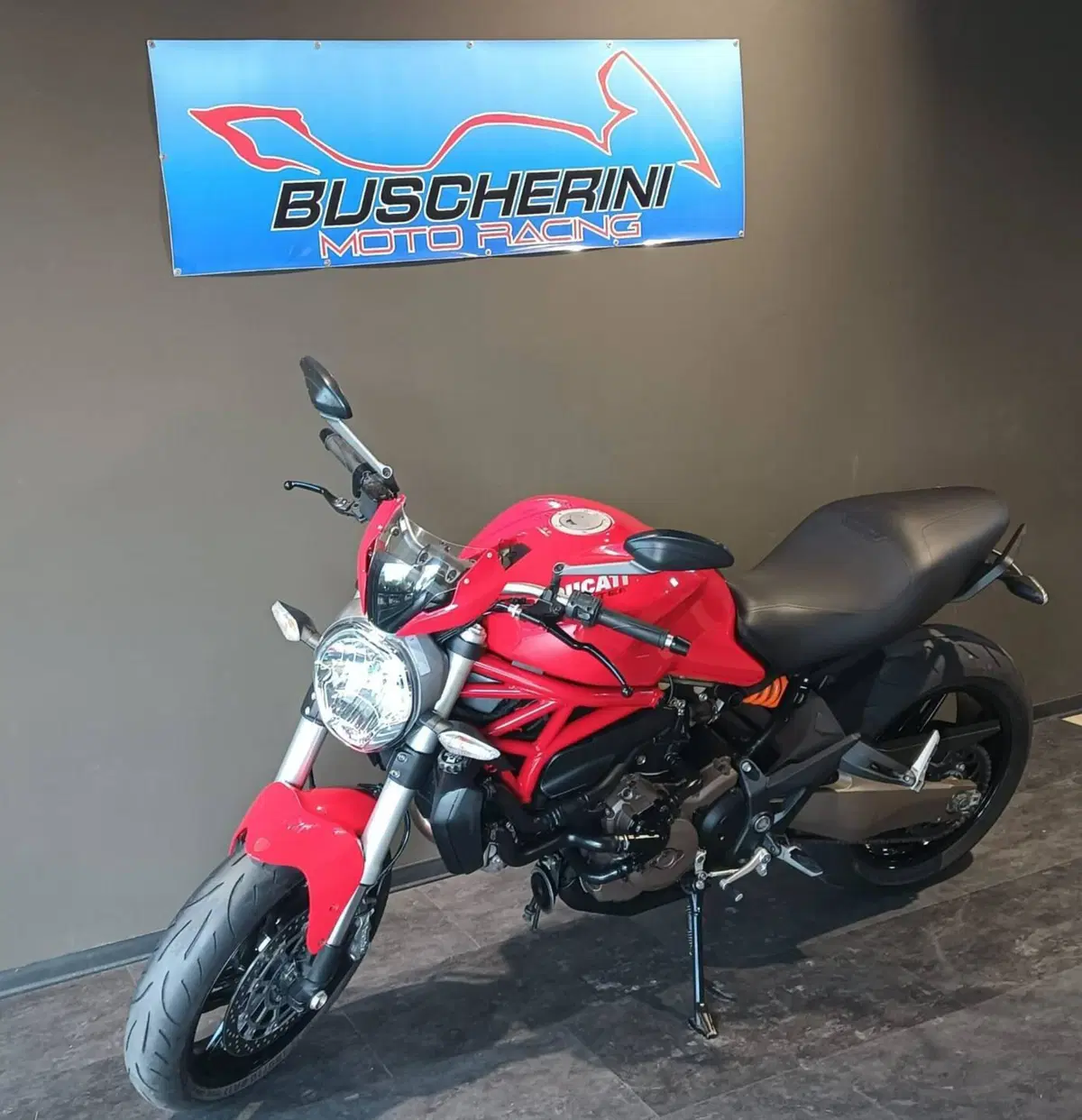 Ducati Monster 821 ABS (2014 - 17) (7)