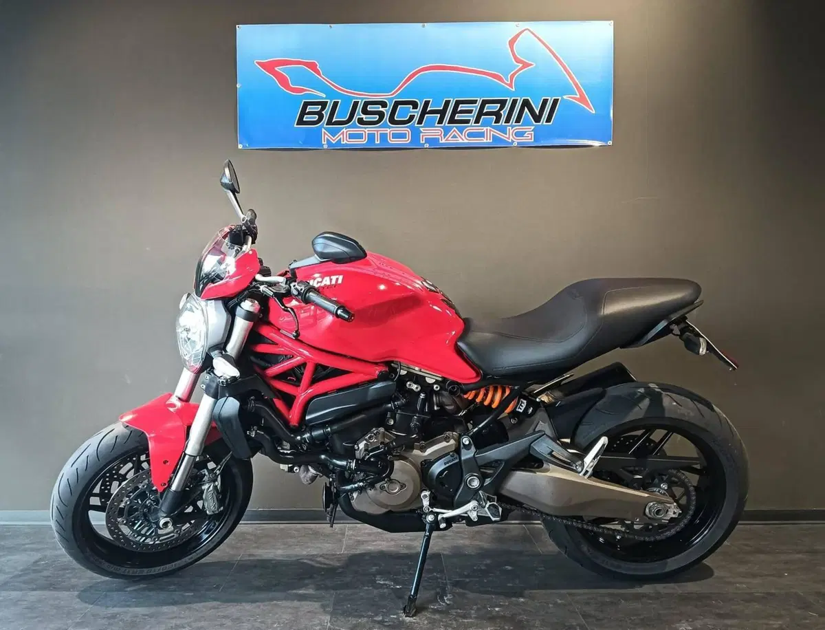 Ducati Monster 821 ABS (2014 - 17) (12)