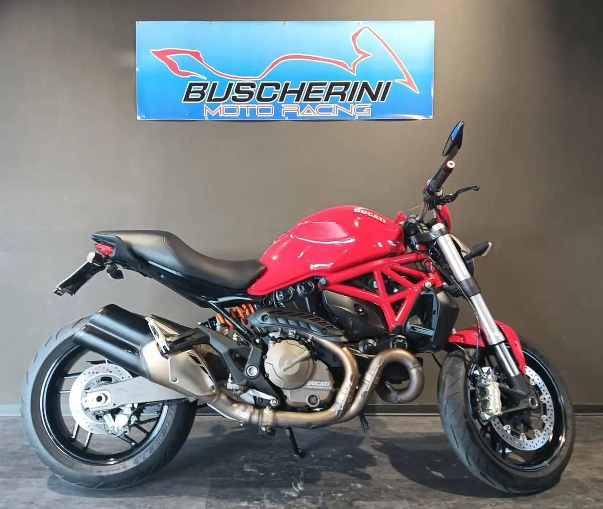 Ducati Monster 821 ABS (2014 - 17) (13)