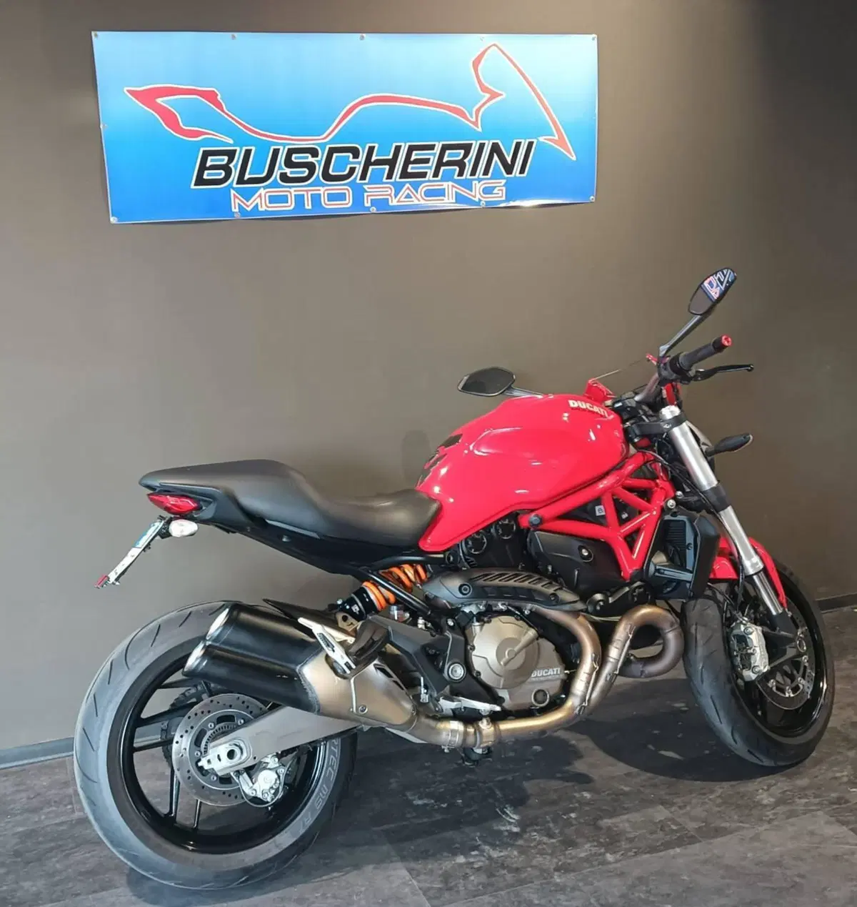 Ducati Monster 821 ABS (2014 - 17) (14)