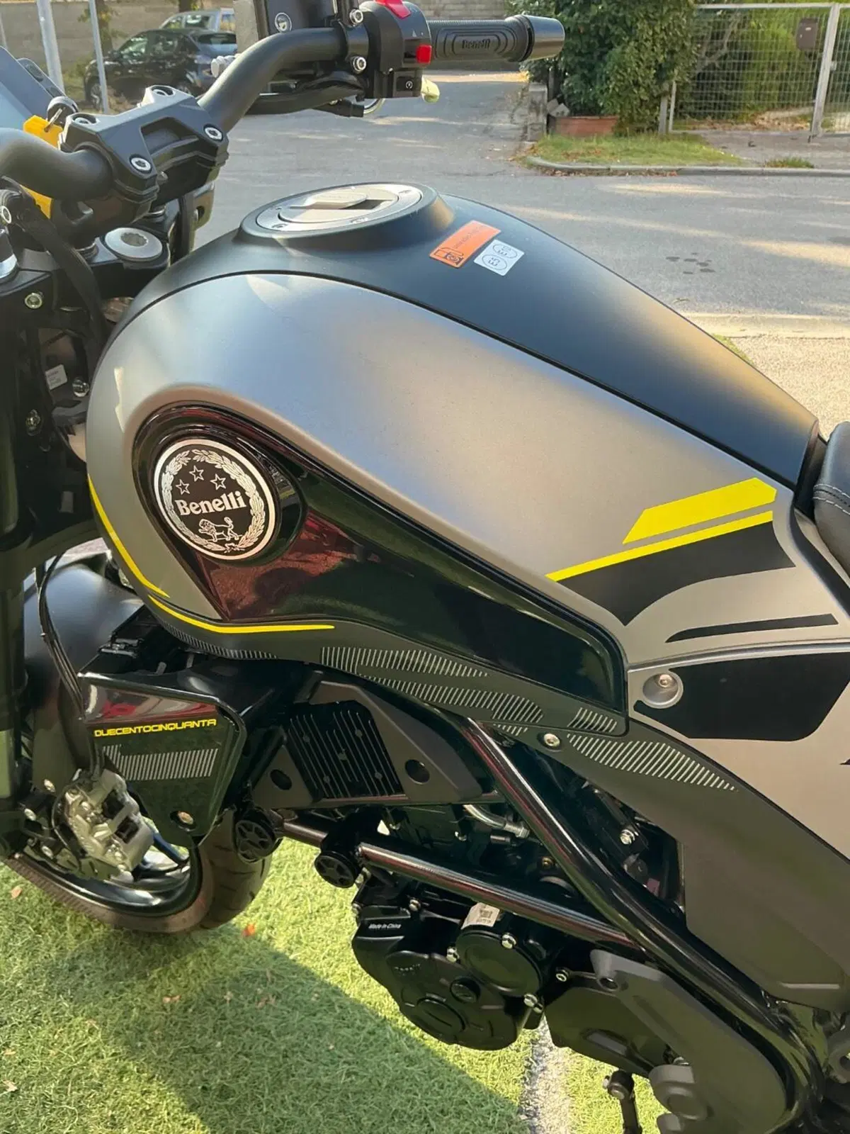 Benelli Leoncino 250 (2021 - 25) (13)