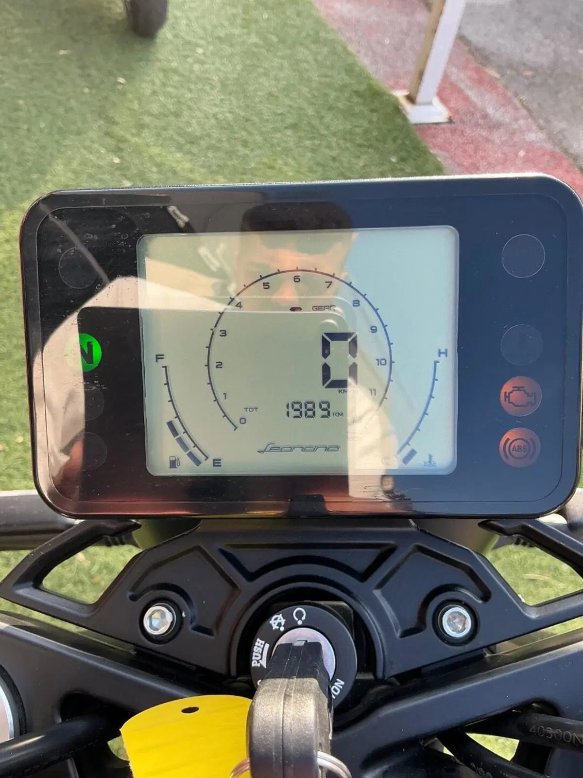 Benelli Leoncino 250 (2021 - 25) (17)