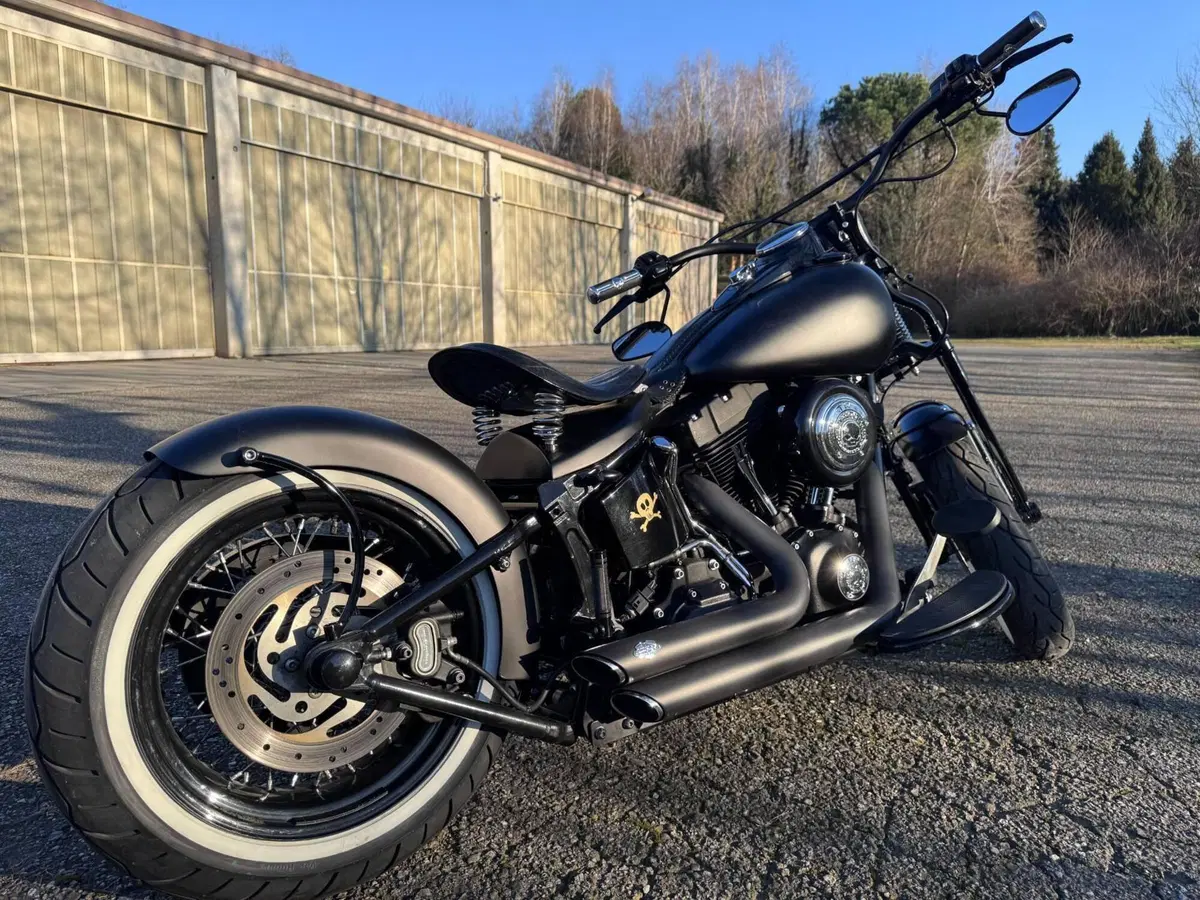 Harley-Davidson 1584 Cross Bones (2008 - 11) - FLSTSB